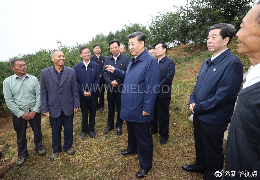 光山油茶籽榨油設備，山茶籽油榨油機廠家(圖3)